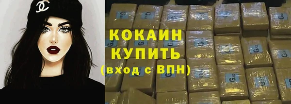 мяу мяу мука Белокуриха