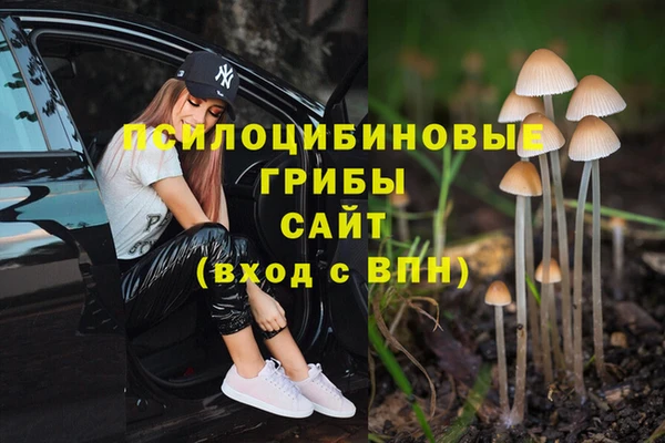 мяу мяу мука Белокуриха