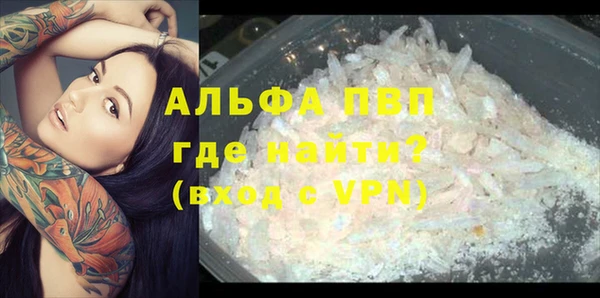 мяу мяу мука Белокуриха